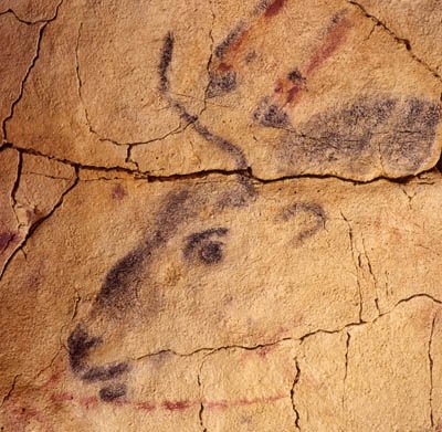 Origen_Toro_004.jpg Origen_Toro_004.jpg