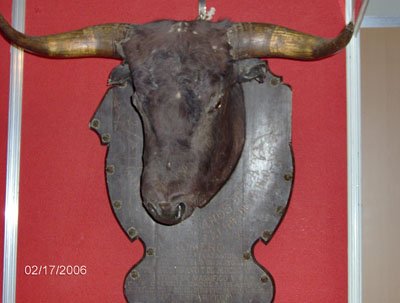 Origen_Toro_012.jpg Origen_Toro_012.jpg