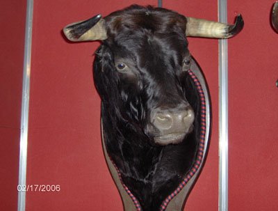 Origen_Toro_013.jpg Origen_Toro_013.jpg